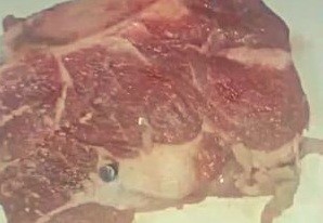 Compró carne, tenía una bala y preguntó si podía comerla