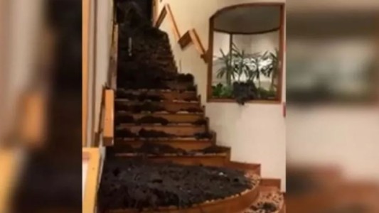 Un árbol cayó sobre un hotel de Bariloche: murió un turista y hay tres heridos