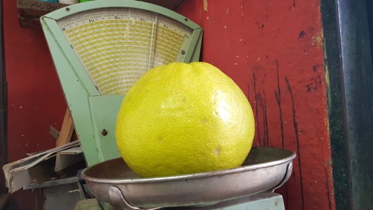 Limón gigante en Córdoba: pesa más de 3 kilos