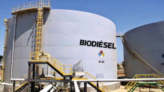Escasez de gasoil: El gobierno nacional aumentará el corte de biodiesel