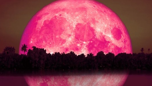 Superluna de fresa: dónde y a qué hora se podrá disfrutar desde Argentina