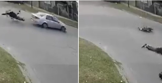 Video: motochorro le robó a una mujer, huyó, chocó, lo detuvieron y fue hospitalizado
