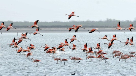Diputados aprueba la creación de Parques Nacionales en Río Negro, Entre Ríos y Córdoba