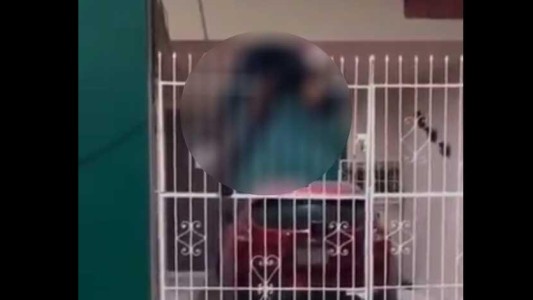 Video: entró a robar a un edificio, cayó de un segundo piso y quedó clavado en una reja