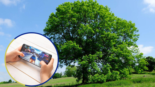 Su madre le prohibió jugar al Free Fire y amenazó con tirarse de un árbol