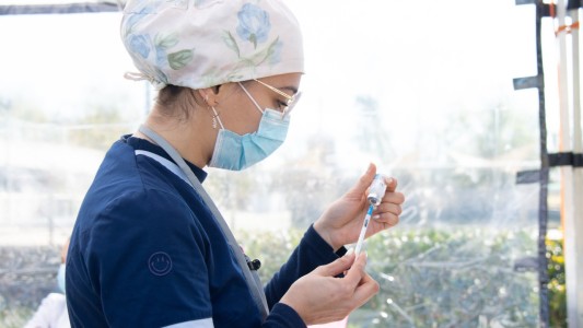 La provincia recomienda vacunarse contra el sarampión ante la nueva alerta nacional