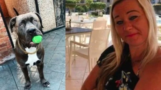 Un perro American Bully “del tamaño de un león” mató a su dueña