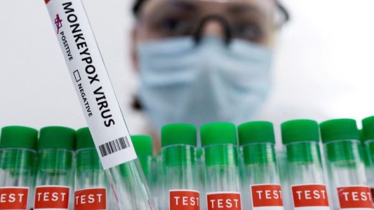 Viruela del mono: la OPS aseguró que América registra casi un tercio del total mundial de los casos