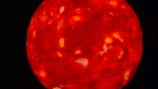 Un científico francés confundió la foto de una feta de salame con un nuevo planeta