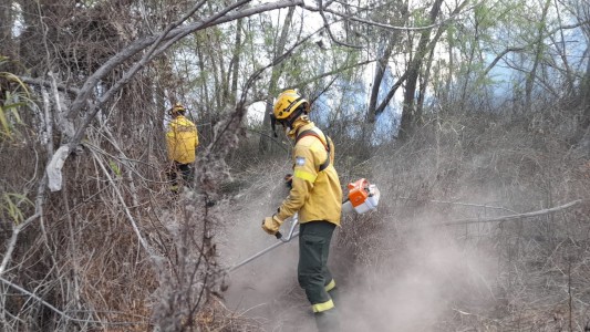 Santa Fe realizó una nueva presentación en la Justicia Federal por los focos ígneos en el Delta del Paraná