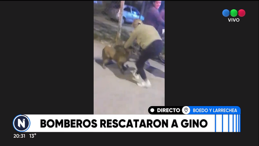 Bomberos rescataron a Gino, un perro que cayó en una boca de tormenta