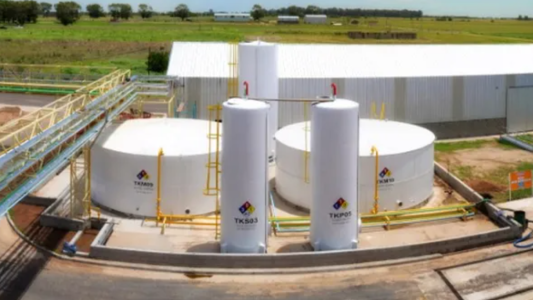 El gobierno nacional prorrogó el corte del biodiesel al 12,5%