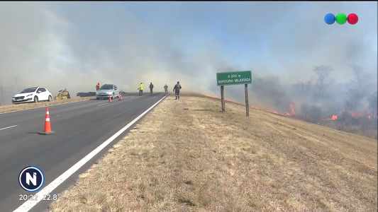 Impulsan programa para proteger a los aminales que huyen de los incendios