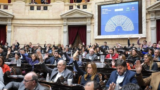 Diputados oficialistas exigen "identificar a los policías que reprimieron a Máximo Kirchner"