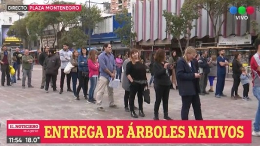 Entregan mil árboles nativos para preservar las especies vegetales