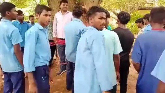 Video: alumnos atan a su profesor a un árbol por ponerles malas notas