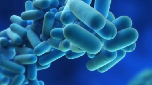 Virus desconocido: qué dicen los primeros resultados de las pruebas del Malbrán