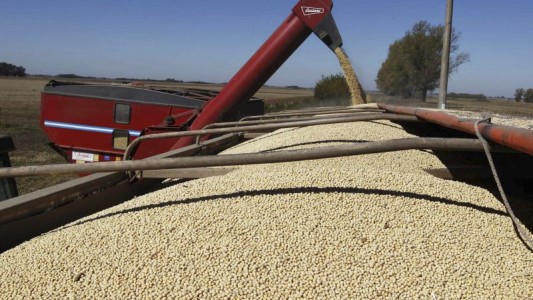 Boom por el "dólar soja": se concretaron operaciones por 2,13 millones de toneladas