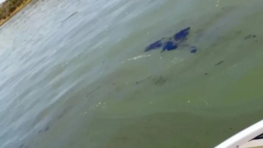 Alarma por una mancha de petróleo en el río Paraná