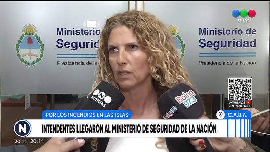 Fuego en las islas: “El accionar es ahora, incluso estamos actuando antes del pedido del gobernador de Santa Fe”
