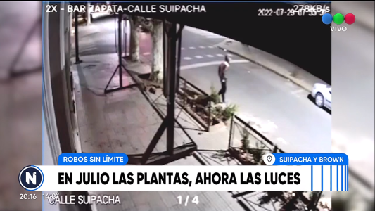 Con total impunidad: un ladrón robó plantas y luego las luces de un bar
