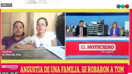 Angustia de una familia a la que le robaron su perro caniche