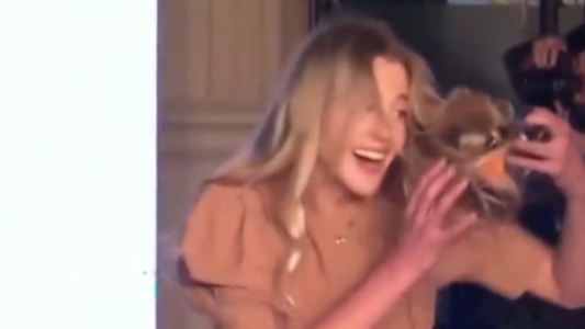 Blooper: así “atacaba” un dron a una modelo durante un desfile en Córdoba