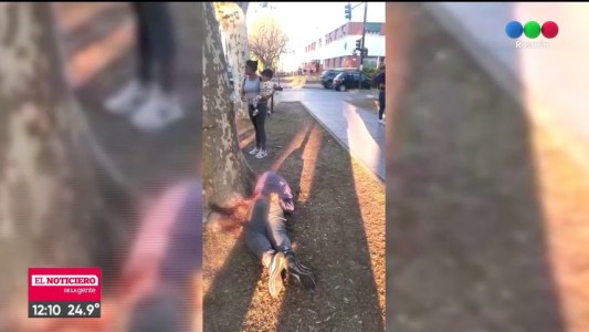 Noche de violencia armada con dos asesinatos en Rosario