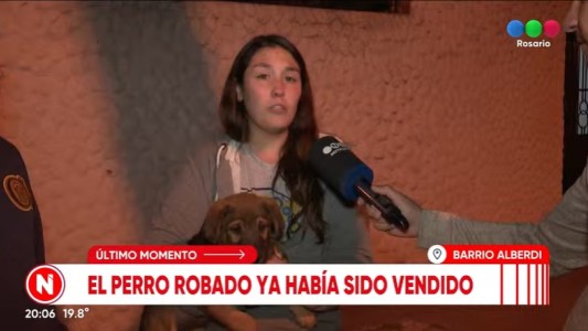 La historia de Marco, el perrito que robaron y fue devuelto a sus dueños