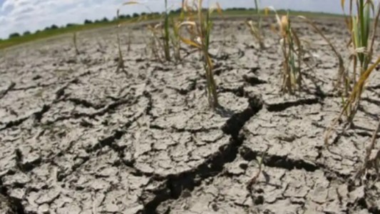 Santa Fe es una de las provincias más comprometidas por la sequía