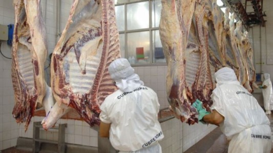 El Gobierno postergó la entrada en vigencia de la comercialización de carne por troceo
