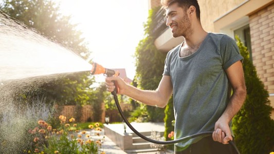 ¿Cómo regar tus plantas en primavera?