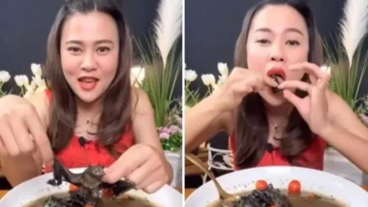 Youtuber se enfrenta a cinco años de cárcel por grabarse comiendo murciélago