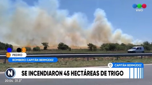 Ardieron 45 hectáreas de trigo en las afueras de Rosario