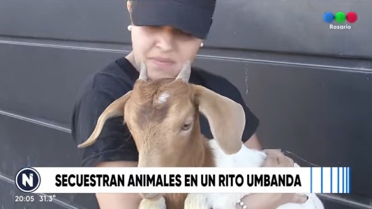 Secuestraron animales en un rito umbanda
