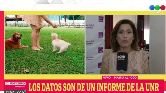 ¿Cuántas mascotas tienen los rosarinos?