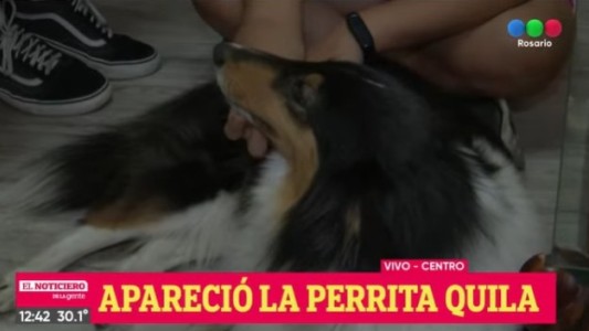 Apareció Quila: la perra que se les escapó a los responsables de una guardería