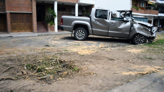 Cayó un árbol sobre una camioneta y la destruyó