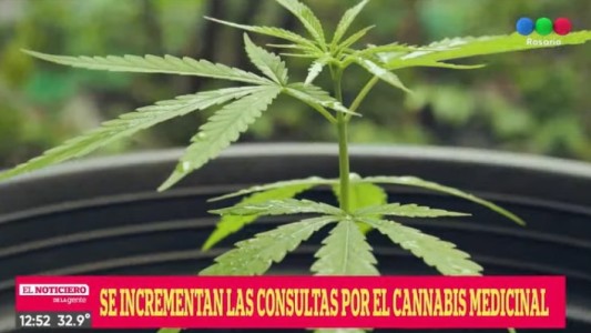 La provincia instalará consultorios de cannabis medicinal