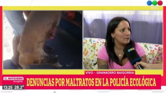 En el Día Mundial del Galgo rescataron animales en estado de abandono