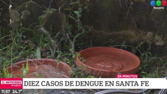 Alerta: se registraron 10 casos de dengue en Santa Fe