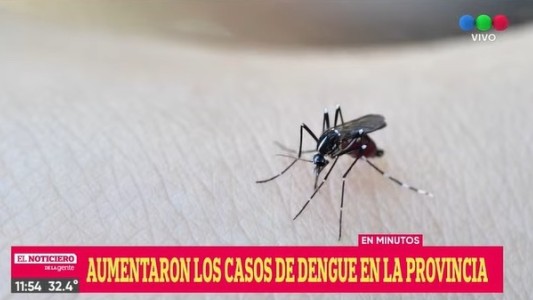 Se incrementaron los casos de dengue en Santa Fe
