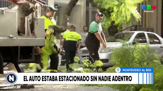 El viento volteó un árbol contra un auto en el centro rosarino