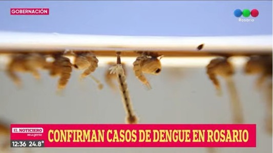 La Provincia realiza acciones territoriales por el aumento de casos de dengue