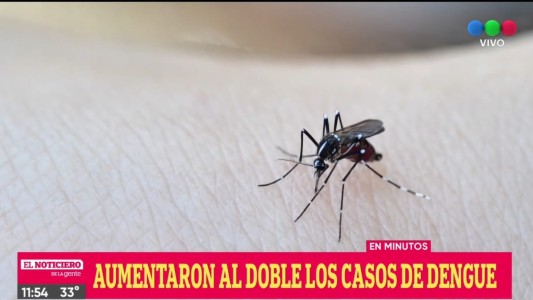 Se duplicaron los casos de dengue en Santa Fe