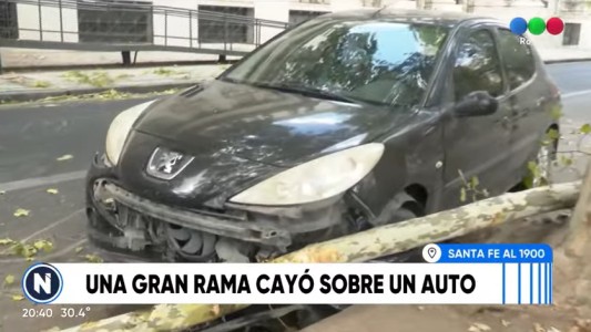 Un rama de gran porte cayó sobre un auto