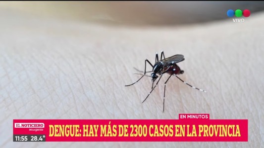 Continúan en aumento los casos de dengue en Santa Fe