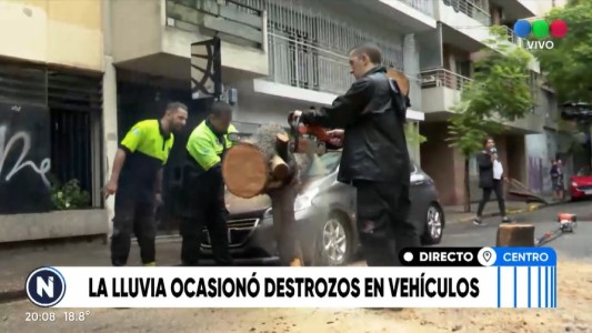 La lluvia provocó caída de árboles y autos dañados en el centro