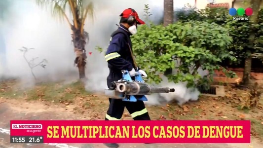 La Provincia registró 7.661 casos de dengue: 1179 son de  Rosario