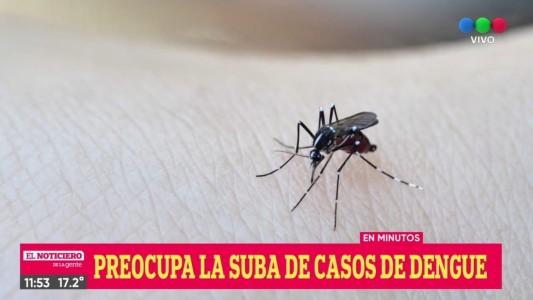 Otro caso fatal por dengue en Santa Fe: murió una joven de 21 años